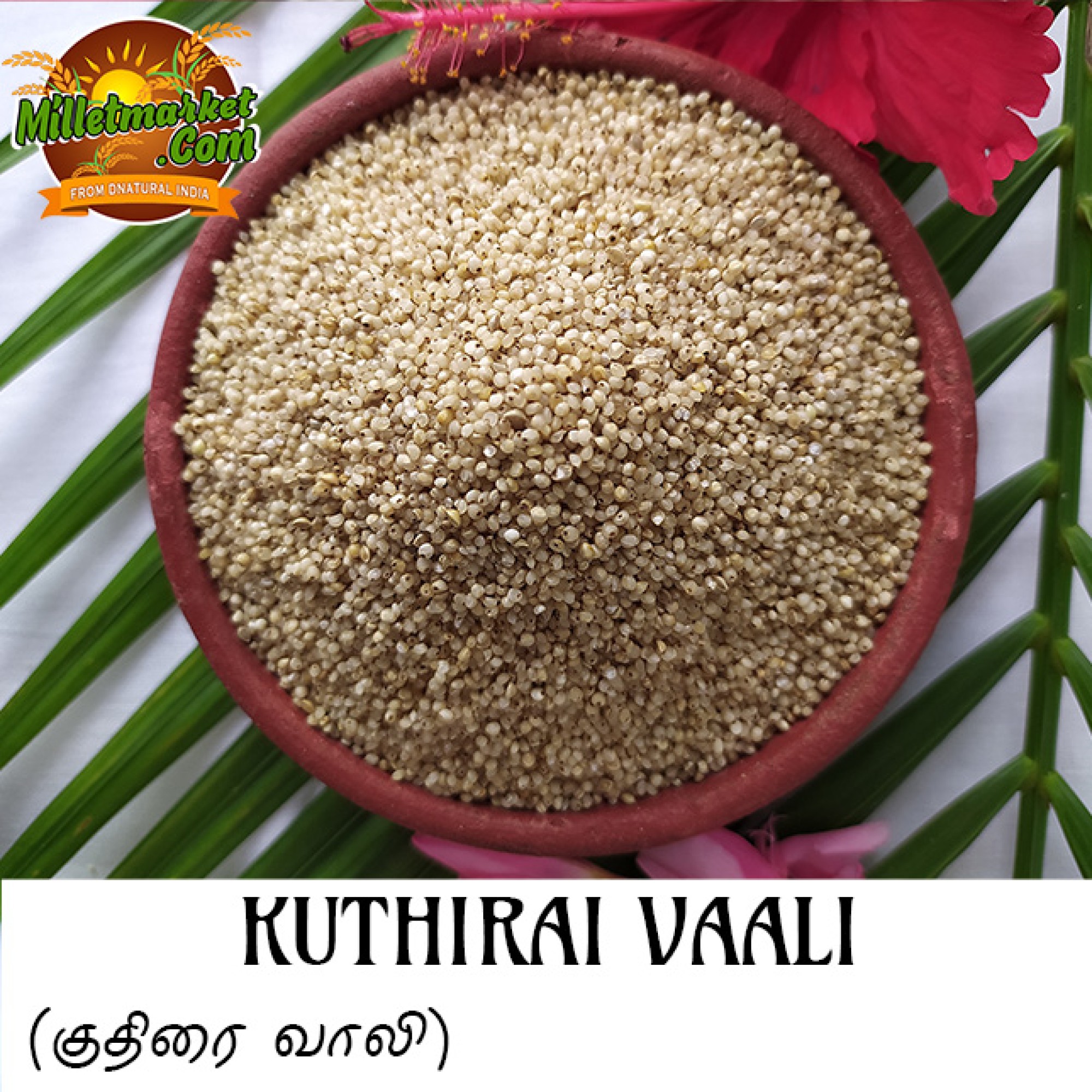 KuthiraiVaali Online India,Millets Online,Indian Millets Online